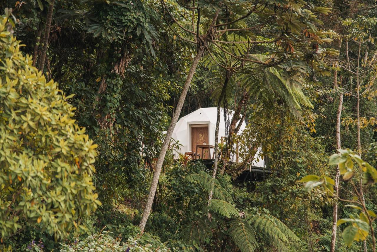 Villa Terramia Estate Minca Exterior foto
